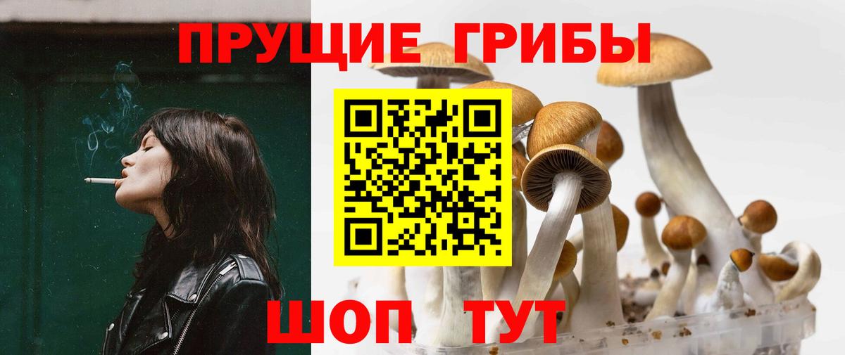Псилоцибиновые грибы мухоморы  Псилоцибиновые грибы MAGIC MUSHROOMS  Вход с VPN  Дубна 