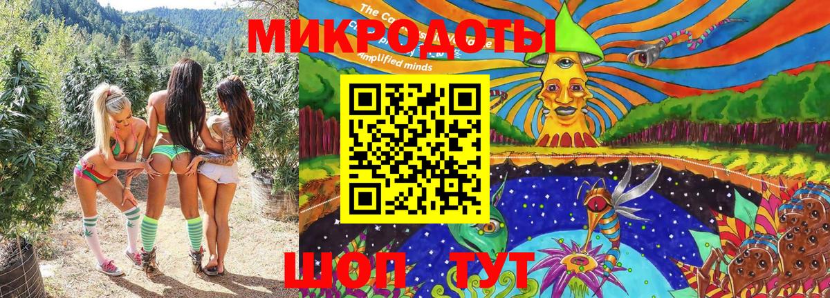 Галлюциногенные грибы Psilocybe Дубна